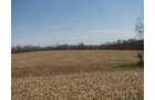 Property photo 19 - 137 Acres in 2 Tracts - 64 Tillable Acres, Potential Building Sites, Hunting